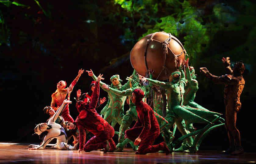 Cirque du Soleil - OVO