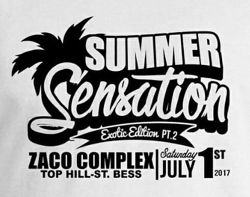 Summer Sensation pt.2
