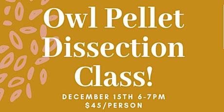 Owl Pellet Dissection Class!