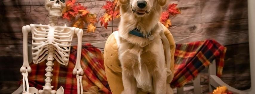 Howl-O-Ween Tricks And Treats for Dogs