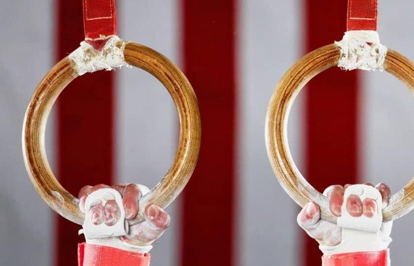 Illinois Fighting Illini at Washington Huskies Womens Gymnastics