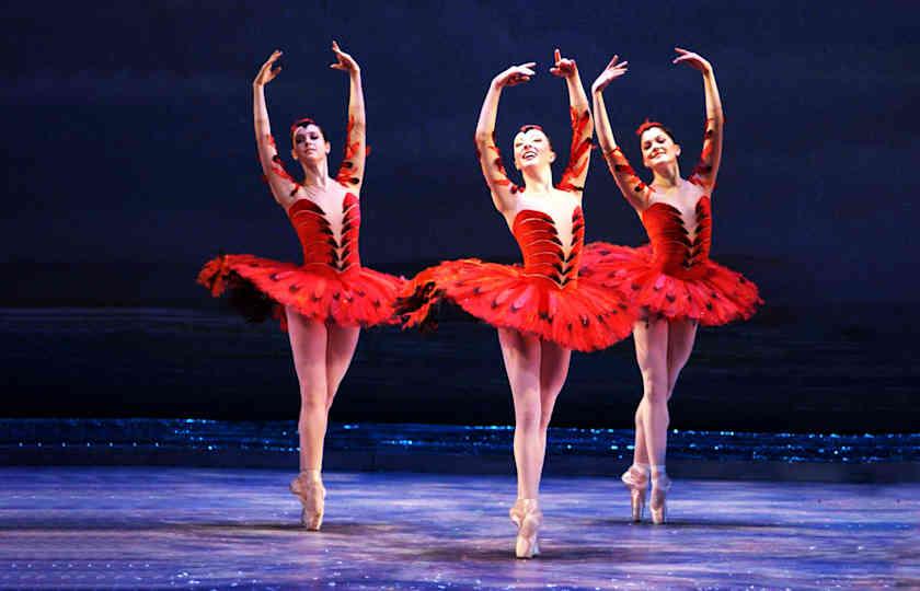 Washington Ballet - The Nutcracker