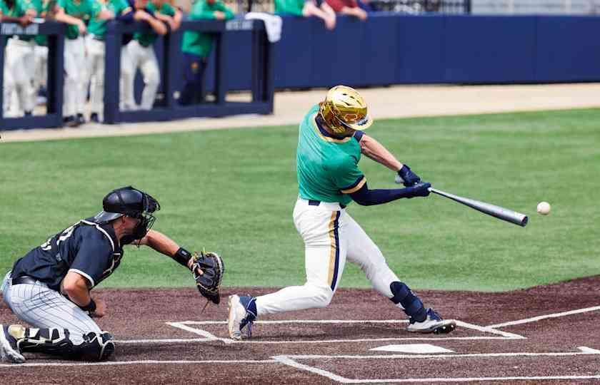 Michigan State Spartans at Notre Dame Fighting Irish Men's Baseball