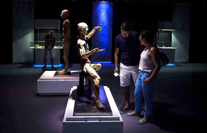 Bodies: The Exhibition