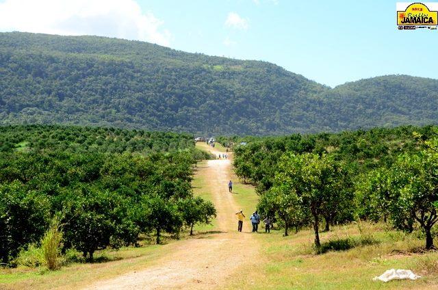 Richard Stewart Memorial RJ2017