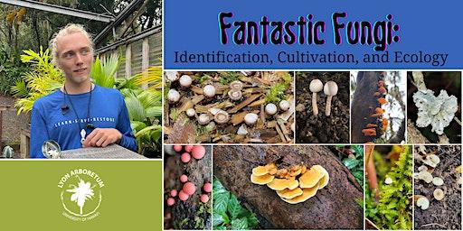 Fantastic Fungi: Identification, Cultivation, and Ecology