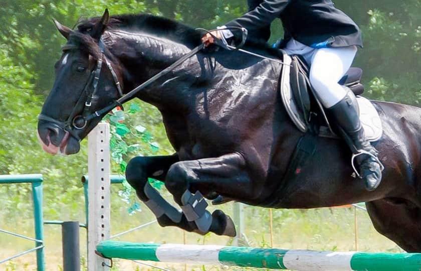 Scottsdale Arabian Horse Show Arizona