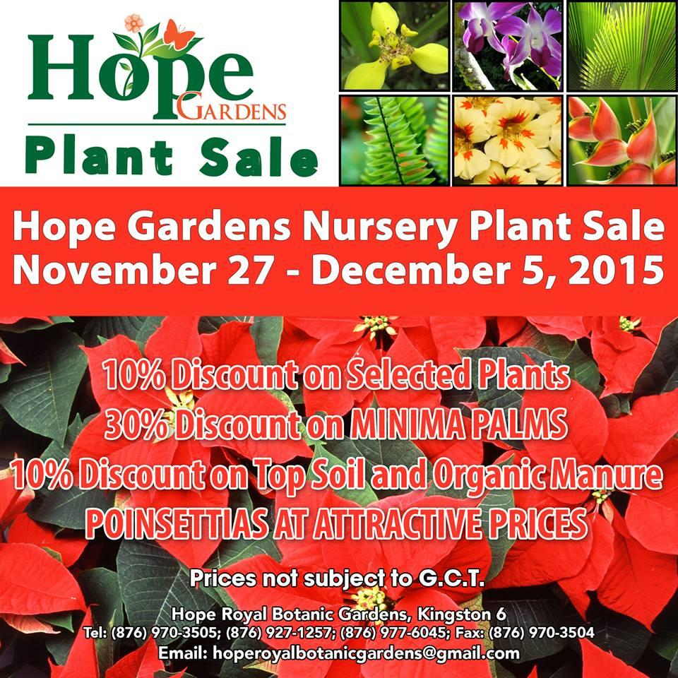Nursery Plant Sale
