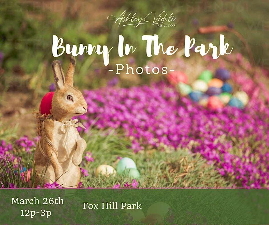 Bunny In The Park