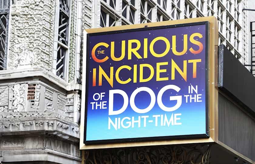 The Curious Incident of the Dog in the Night-Time