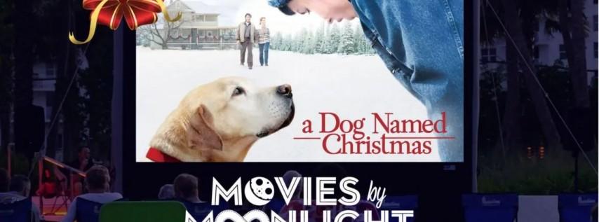 Movies by Moonlight: A Dog Named Christmas
