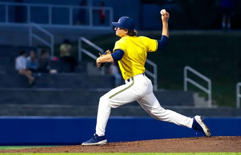 Minnesota Golden Gophers at Michigan Wolverines Baseball