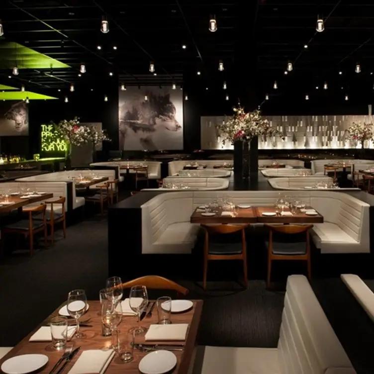 STK – Denver