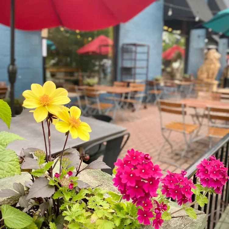 Three Cats Restaurant