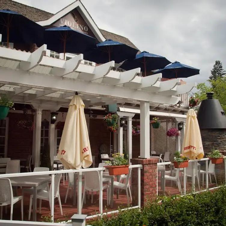 Violino Gastronomia Italiana