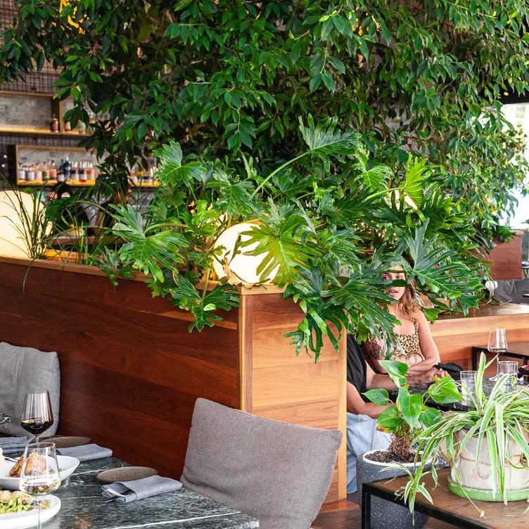 Abacus Bar & Kitchen