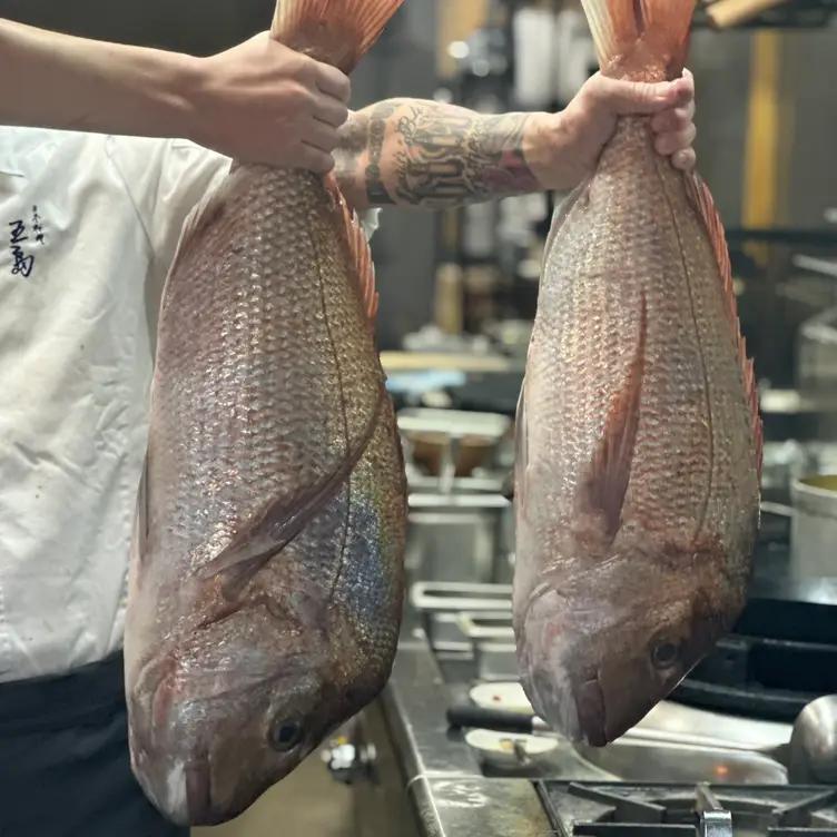 GOTO Japanese Restaurant