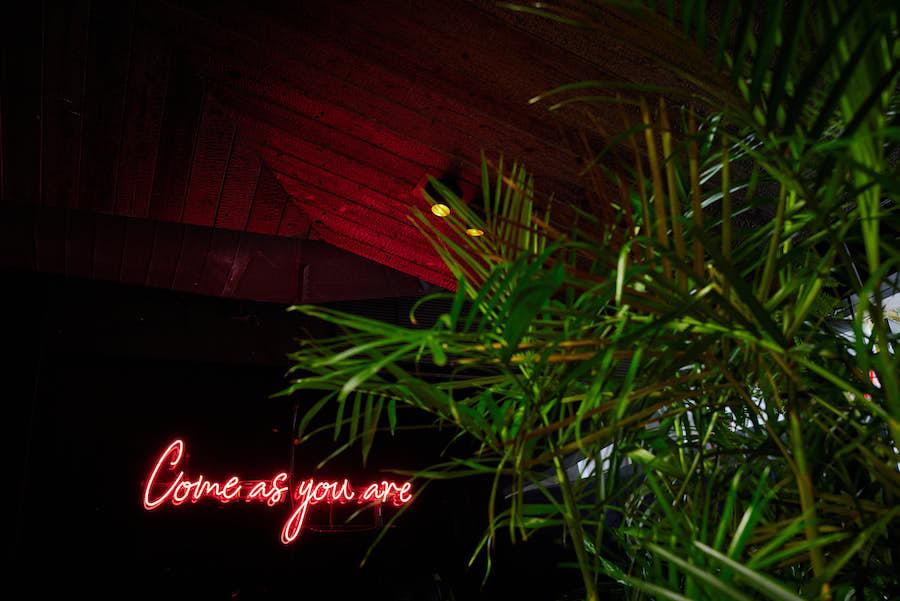 Miami Art Week: Chotto Matte Presents a Night of Art, Music, and Luxury with Millie Brown, Origen Vodka and Fleur de Mal