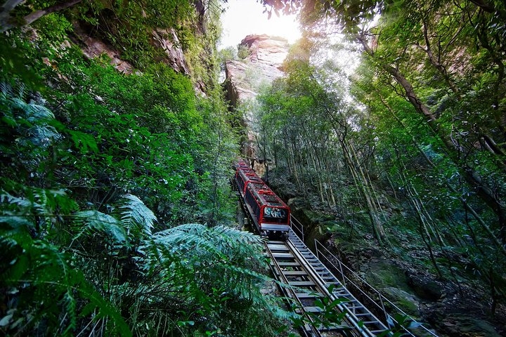 Blue Mountains Small-Group Tour from Sydney with Scenic World,Sydney Zoo & Ferry