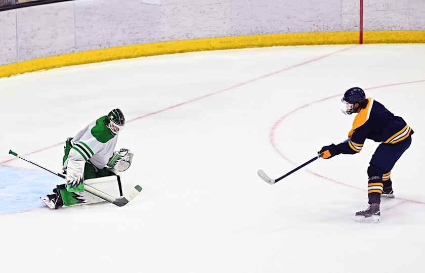Concordia Stingers at Quinnipiac Bobcats Men's Hockey