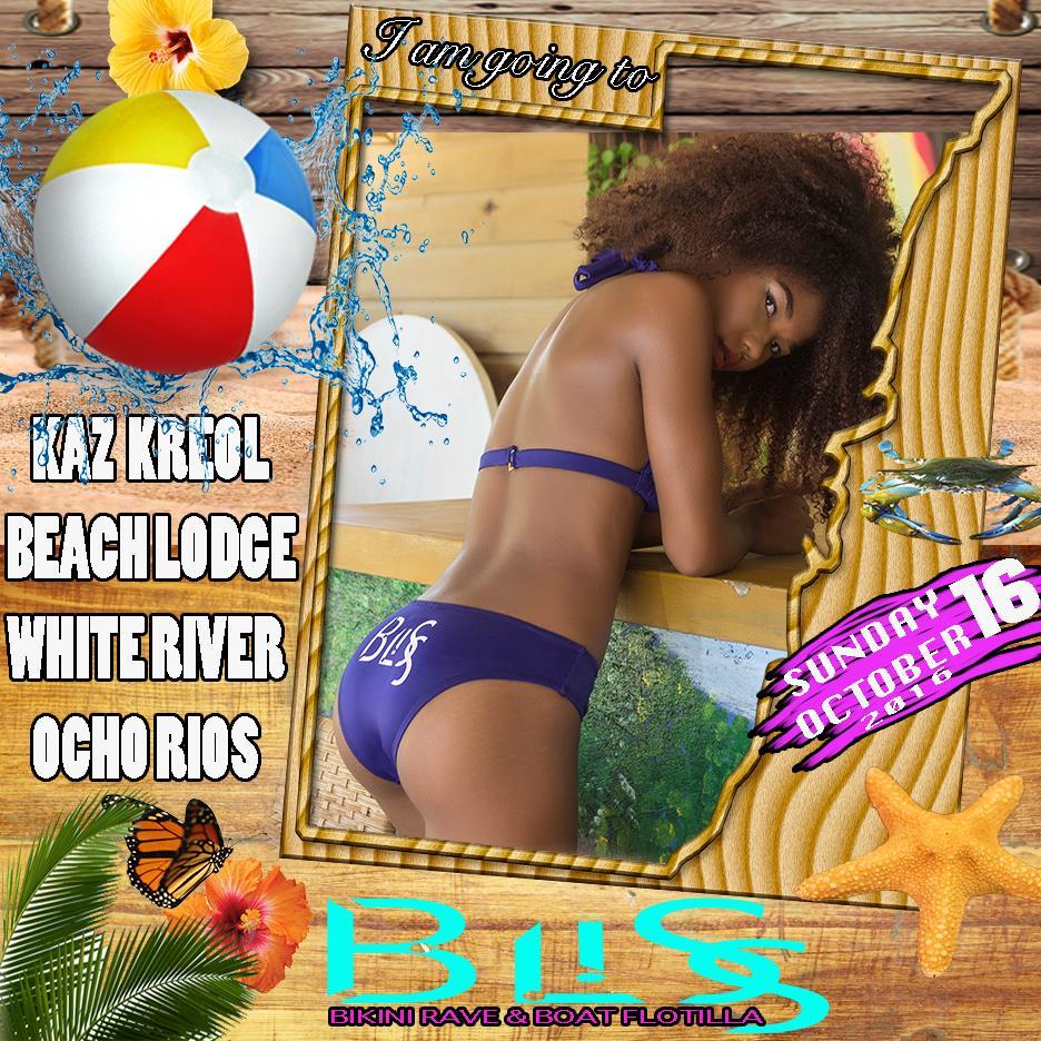 Bliss Bikini Rave & Flotilla