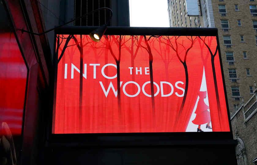 Into the Woods