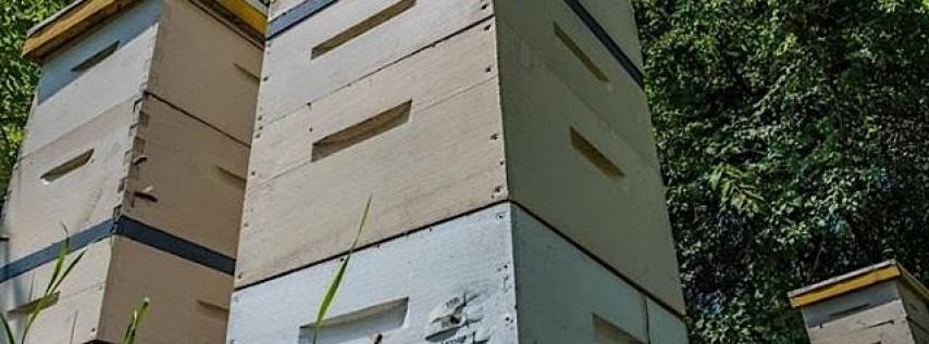Beekeeping 201: Beekeeping Basics (In-person)