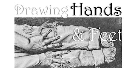 Drawing Hands and Feet January Session