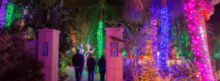 Holiday Lights in the Gardens at Florida Botanical Gardens