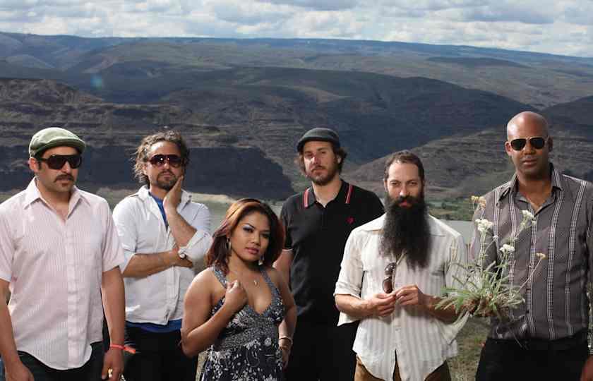 Dengue Fever: Night 1