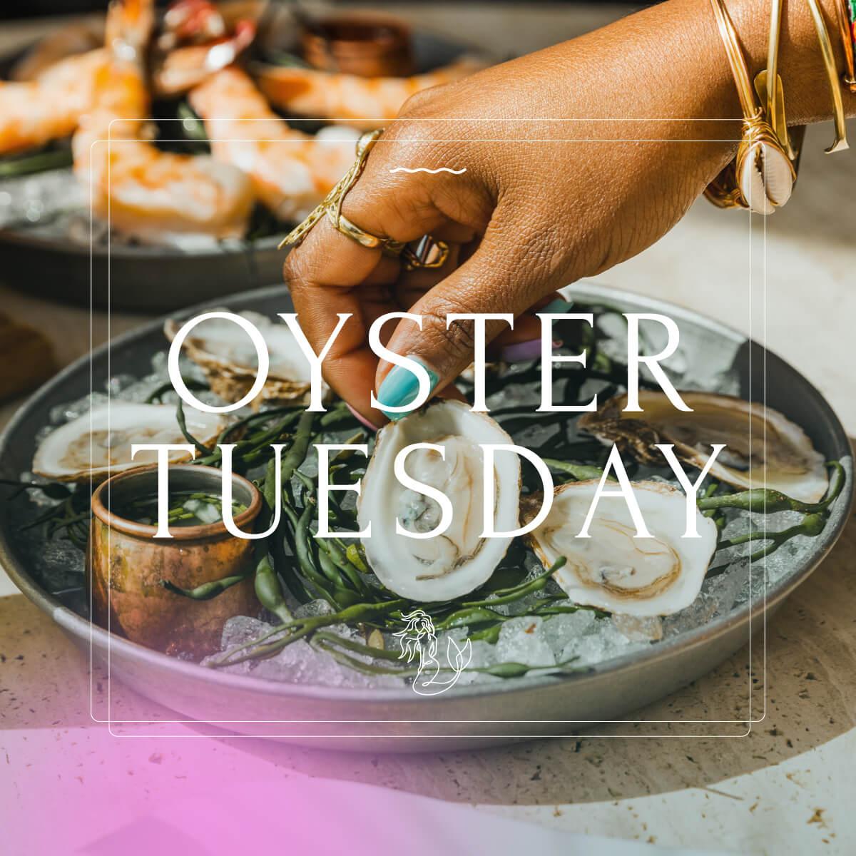 Join Rooftop L.O.A. for Oyster Tuesday!
