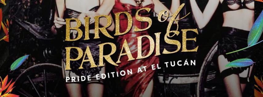 Mr. Hospitality Presents Birds of Paradise at El Tucán