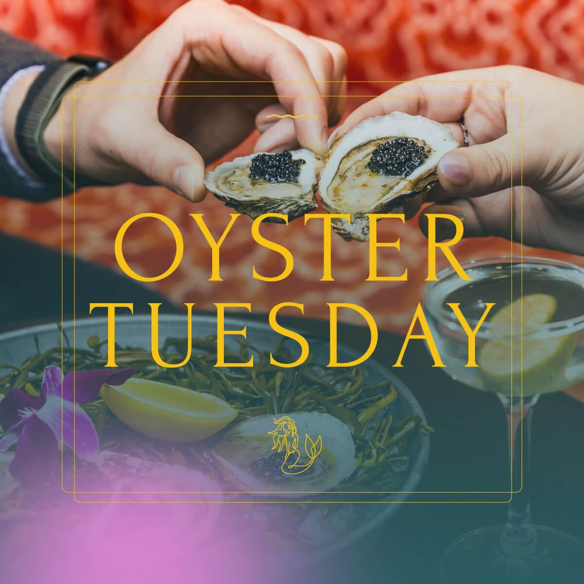Join Rooftop L.O.A. for Oyster Tuesday!