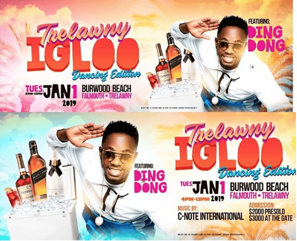 Trelawny Igloo: Dancing Edition