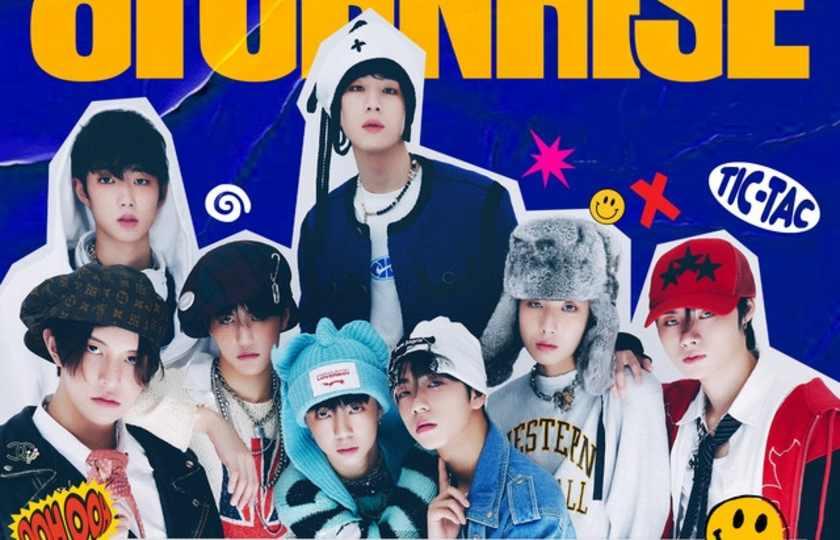 SUMMIT - 8TURN - Coat Check