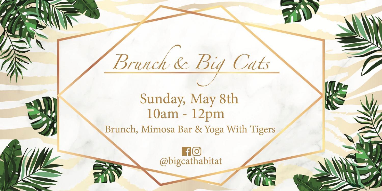 Brunch & Big Cats: Mother's Day Edition at Big Cat Habitat & Gulf Coast Sanctuar