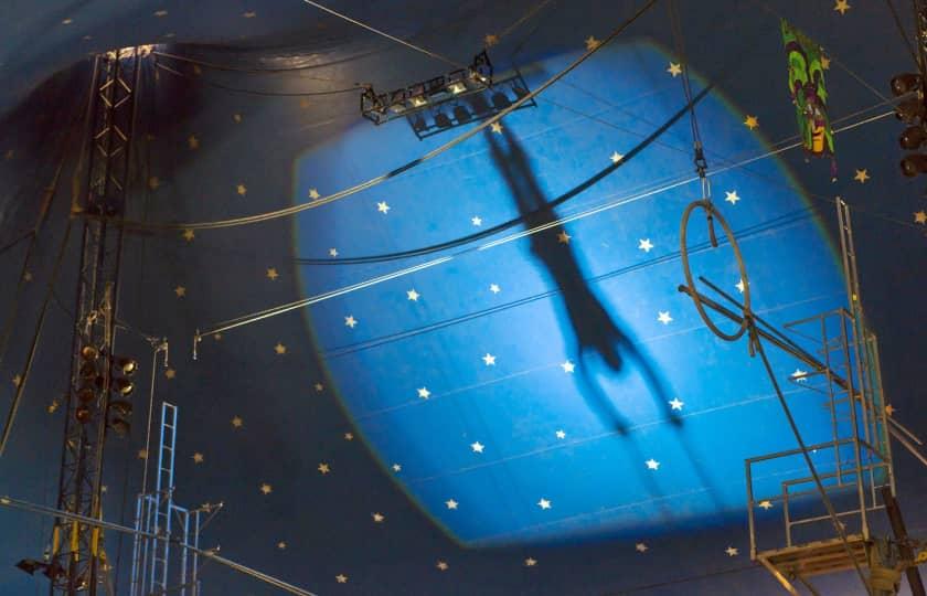 Cirque du Soleil: Drawn to Life