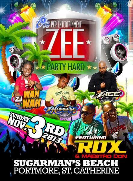 Zee Party Hard - Bay Watch Edition