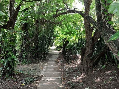 Jamaica Military Band