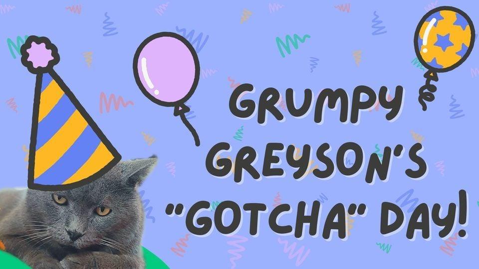 Grumpy Greyson’s “Gotcha” Day!