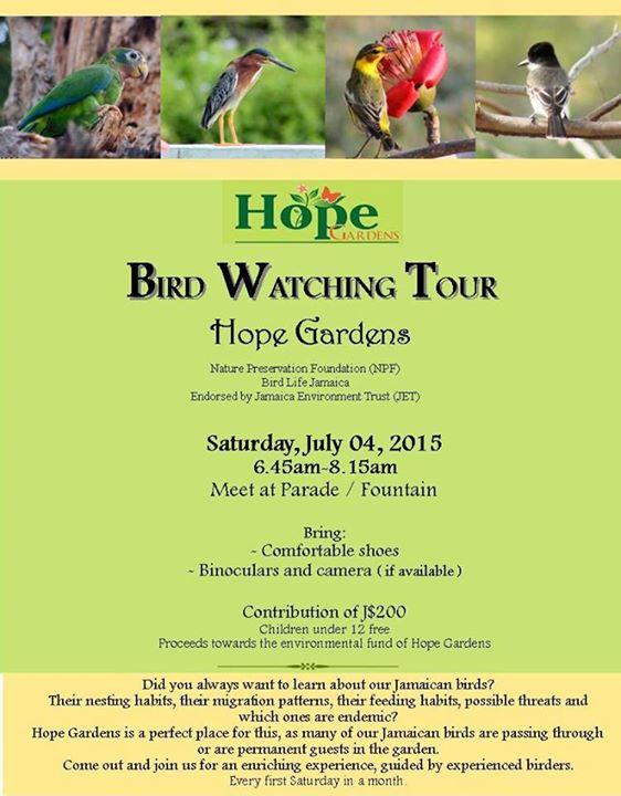 Bird Watching at Hope Gardens