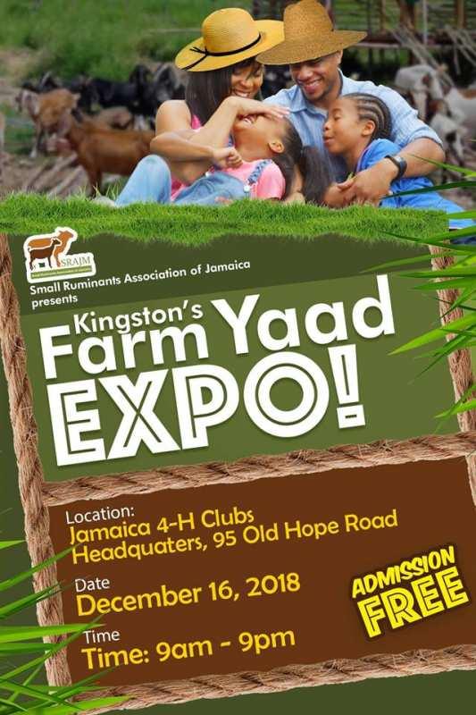 Kingston's Farm Yaad Expo