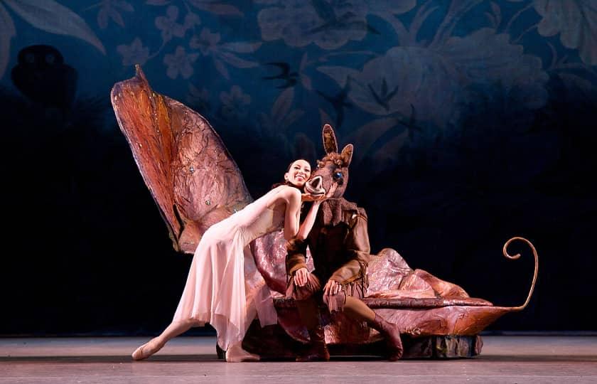 Midsummer Nights Dream and Why Our Walls