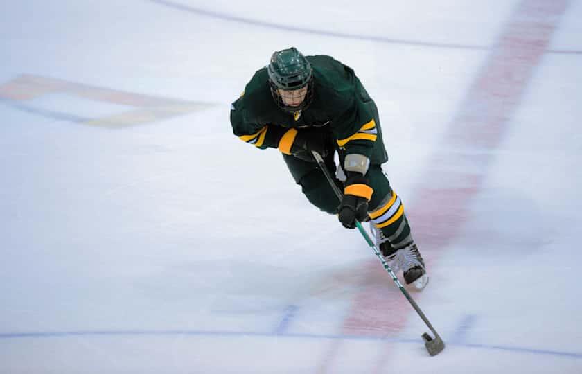Providence Friars at Vermont Catamounts Hockey