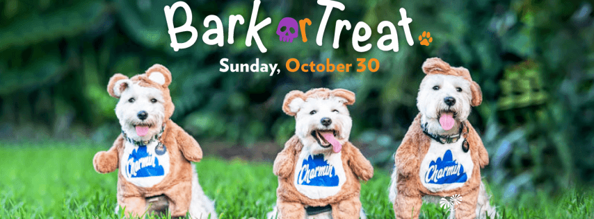 Dog Date Stroll - Bark or Treat
