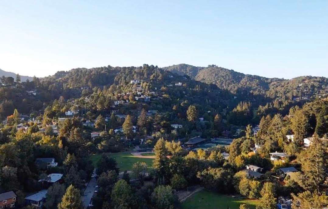 Places to Eat & Drink in Mill Valley, California