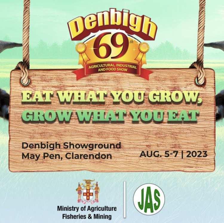 Denbigh Agricultuarl Show