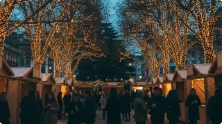 Miami Children's Museum's 16th Annual Not So Scary Halloween Bash!