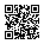 QR Code for Holiday Lights with The W.E.L.L.